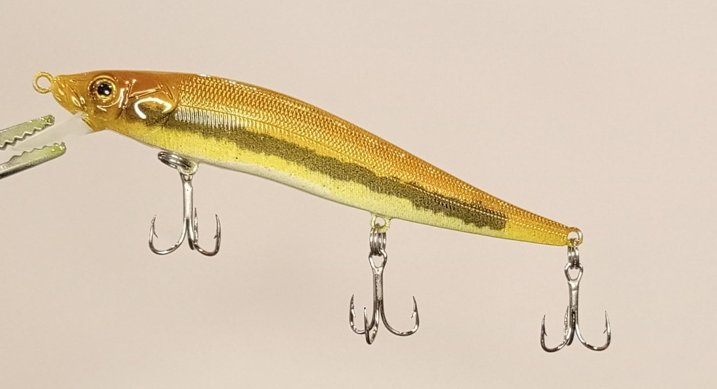 Creek Chub