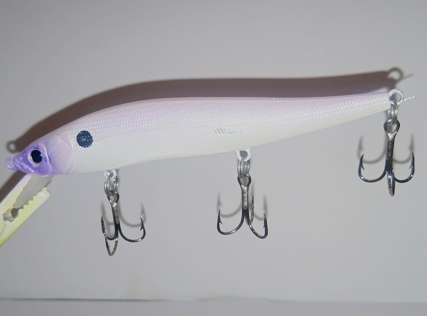 Shad Violet Back