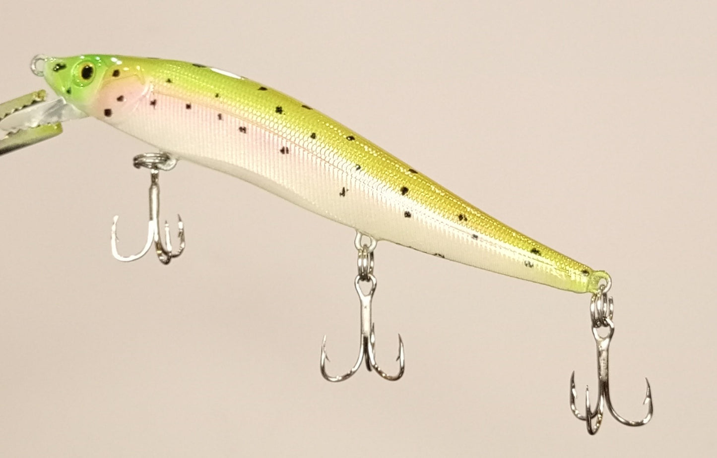 Rainbow Trout Jerkbait