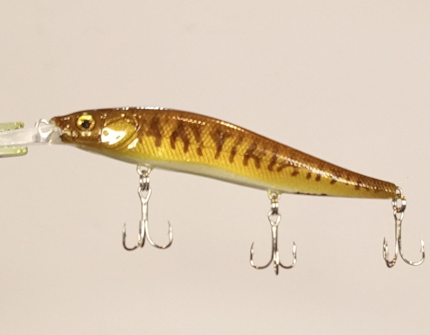 Smallmouth Bass